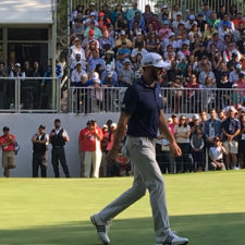 Dustin Johnson green