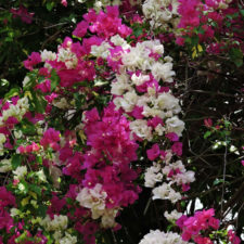 Galería Abierto Venezuela No. 34