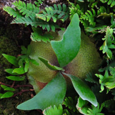 Galería Abierto Venezuela No. 34