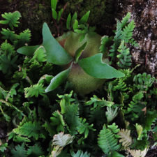 Galería Abierto Venezuela No. 34