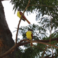 Galería Abierto Venezuela No. 34