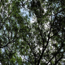 Galería Abierto Venezuela No. 34