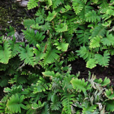 Galería Abierto Venezuela No. 34