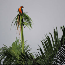 Galería de fotos Torneo FVG-VAGC, día domingo