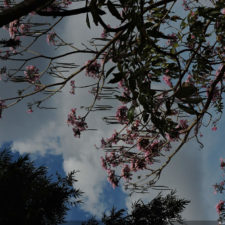 Galería de fotos Torneo FVG-VAGC, día domingo