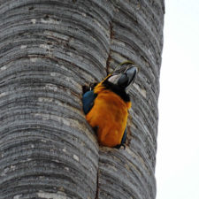 Galería de fotos Torneo FVG-VAGC, día domingo