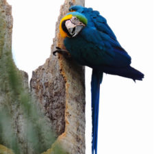 Galería de fotos Torneo FVG-VAGC, día sábado