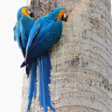 Galería de fotos Torneo FVG-VAGC, día sábado