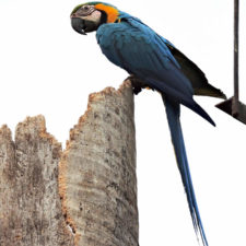 Galería de fotos Torneo FVG-VAGC, día sábado