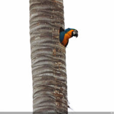 Galería de fotos Torneo FVG-VAGC, día sábado