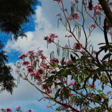 Galería, Valle Arriba Golf Club la terraza del Ávila