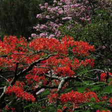 Galería, Valle Arriba Golf Club la terraza del Ávila