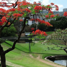 Galería, Valle Arriba Golf Club la terraza del Ávila