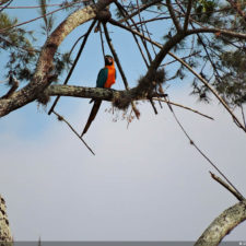 Galería, Valle Arriba Golf Club la terraza del Ávila