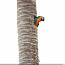 Galería, Valle Arriba Golf Club la terraza del Ávila