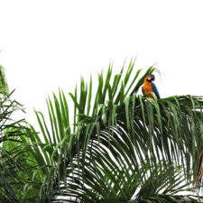 Galería, Valle Arriba Golf Club la terraza del Ávila