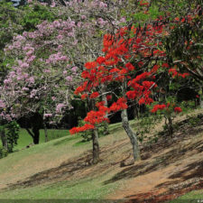 Galería, Valle Arriba Golf Club la terraza del Ávila