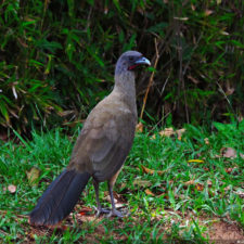 Galería, Valle Arriba Golf Club la terraza del Ávila