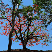 Galería, Valle Arriba Golf Club la terraza del Ávila