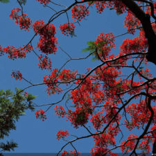 Galería, Valle Arriba Golf Club la terraza del Ávila