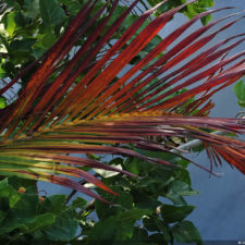 Galería, Valle Arriba Golf Club la terraza del Ávila