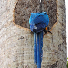 Galería, Valle Arriba Golf Club la terraza del Ávila