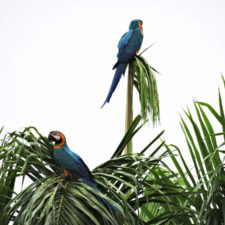 Galería, Valle Arriba Golf Club la terraza del Ávila