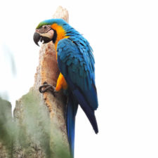 Galería, Valle Arriba Golf Club la terraza del Ávila