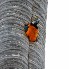 Galería, Valle Arriba Golf Club la terraza del Ávila