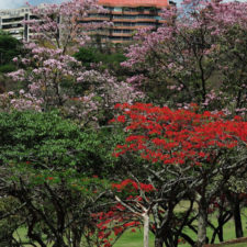 Galería, Valle Arriba Golf Club la terraza del Ávila
