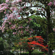 Galería, Valle Arriba Golf Club la terraza del Ávila