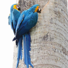 Galería, Valle Arriba Golf Club la terraza del Ávila