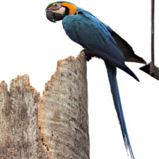 Galería, Valle Arriba Golf Club la terraza del Ávila