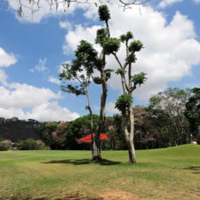 Galería, Valle Arriba Golf Club la terraza del Ávila