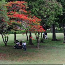 Galería primera ronda 1er Abierto Sambil Juvenil