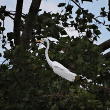 Galería, Valle Arriba Golf Club la terraza del Ávila