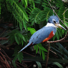 Galería, Valle Arriba Golf Club la terraza del Ávila