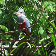 Galería, Valle Arriba Golf Club la terraza del Ávila