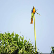 Galería, Valle Arriba Golf Club la terraza del Ávila