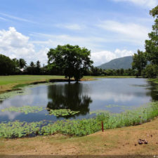 4ta Entrega de imágenes del DR Golf Travel Exchange