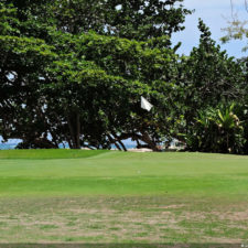 4ta Entrega de imágenes del DR Golf Travel Exchange