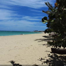 4ta Entrega de imágenes del DR Golf Travel Exchange