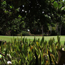 4ta Entrega de imágenes del DR Golf Travel Exchange