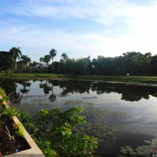 4ta Entrega de imágenes del DR Golf Travel Exchange