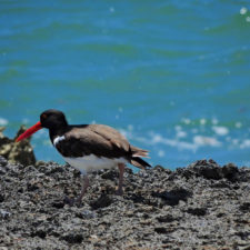 Galería, 1er día RDGolf Travel Exchange