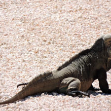 Galería, 1er día RDGolf Travel Exchange