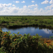 Galería, 1er día RDGolf Travel Exchange