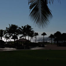 Galería, 1er día RDGolf Travel Exchange