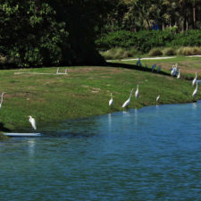 Galería, 1er día RDGolf Travel Exchange