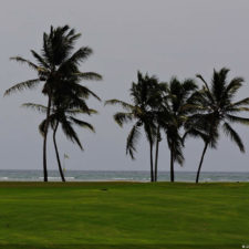 Galería 5to 2018 DR Golf Travel Exchange